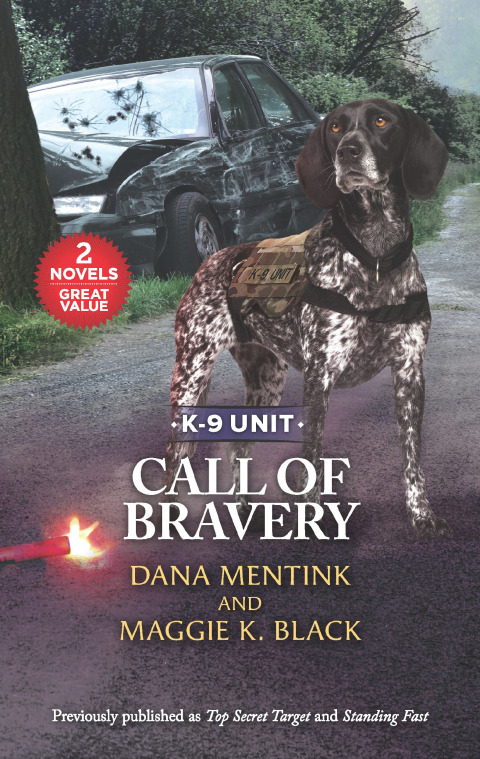 Cover image for book Call of Bravery