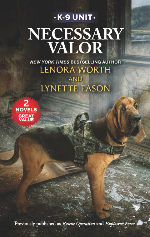 Cover image for book Necessary Valor