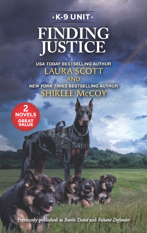 Cover image for book Finding Justice