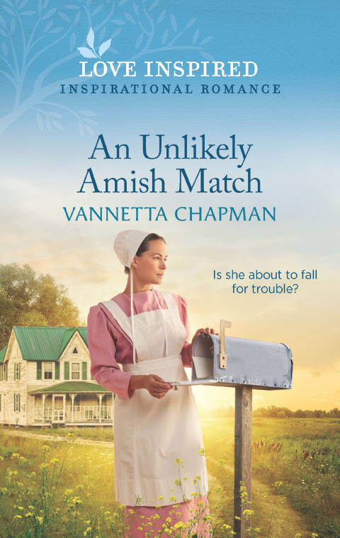 Cover image for book An Unlikely Amish Match