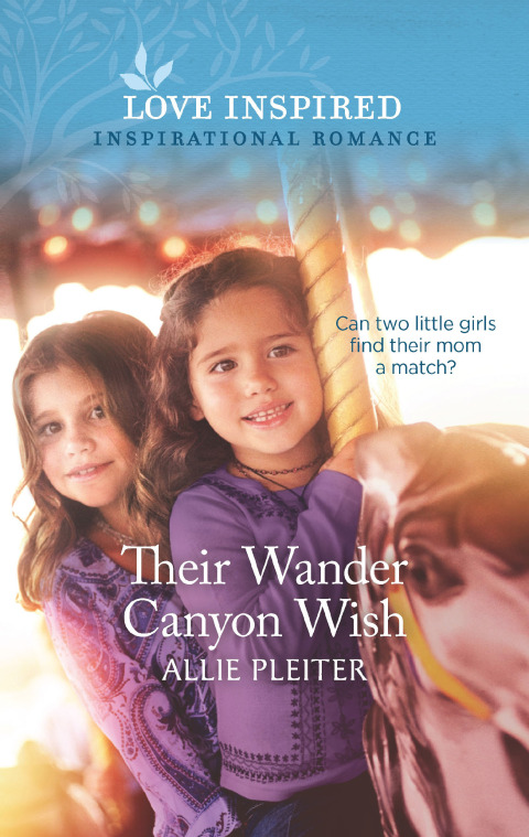Cover image for book Their Wander Canyon Wish