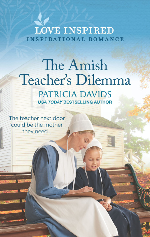 Cover image for book The Amish Teacher's Dilemma