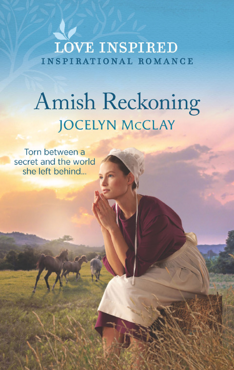 Cover image for book Amish Reckoning