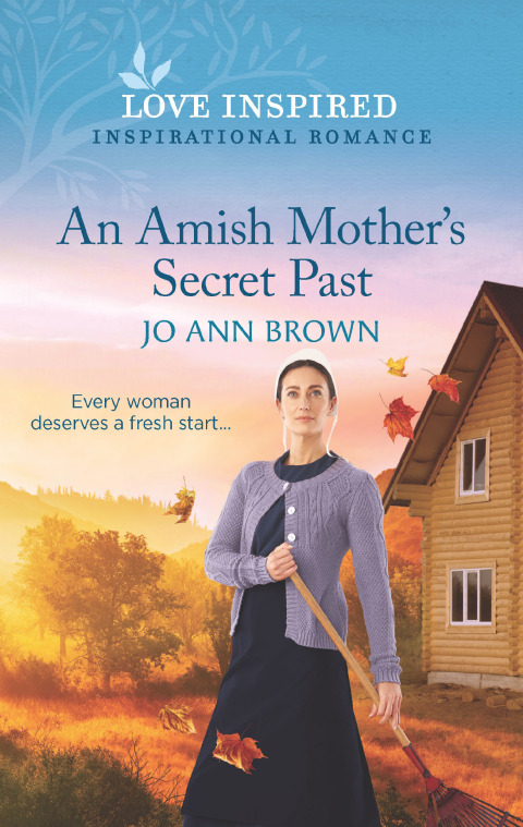 Cover image for book An Amish Mother's Secret Past