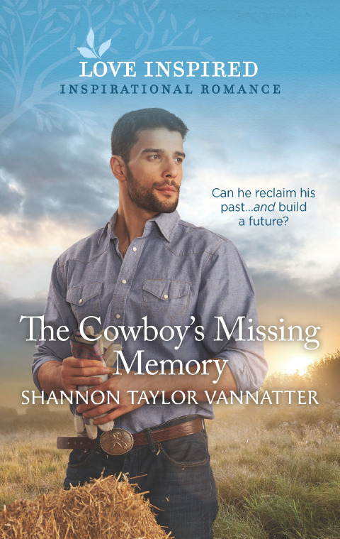 Cover image for book The Cowboy's Missing Memory