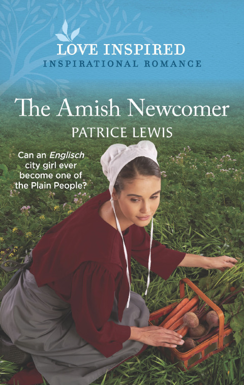 Cover image for book The Amish Newcomer