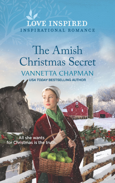 Cover image for book The Amish Christmas Secret
