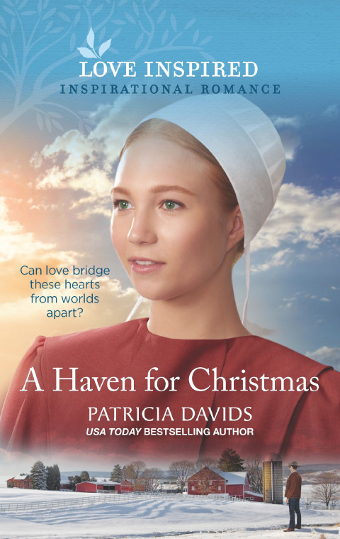 Cover image for book A Haven for Christmas