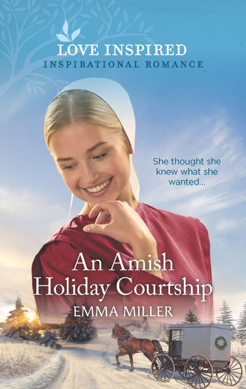 Cover image for book An Amish Holiday Courtship