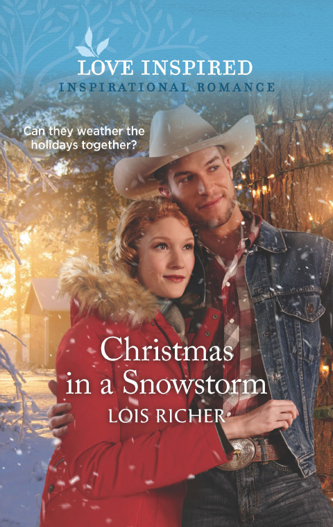 Cover image for book Christmas in a Snowstorm
