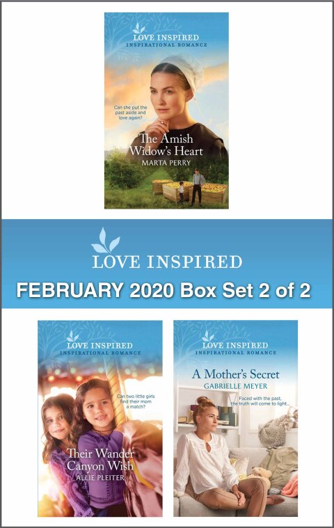 Cover image for book Harlequin Love Inspired February 2020 - Box Set 2 of 2