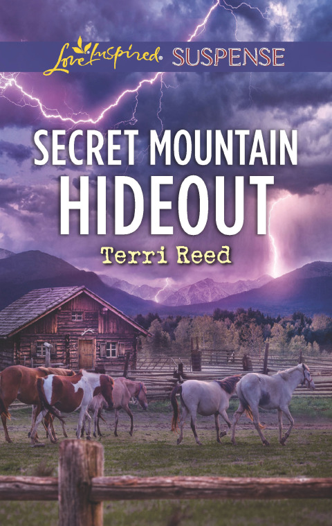 Cover image for book Secret Mountain Hideout