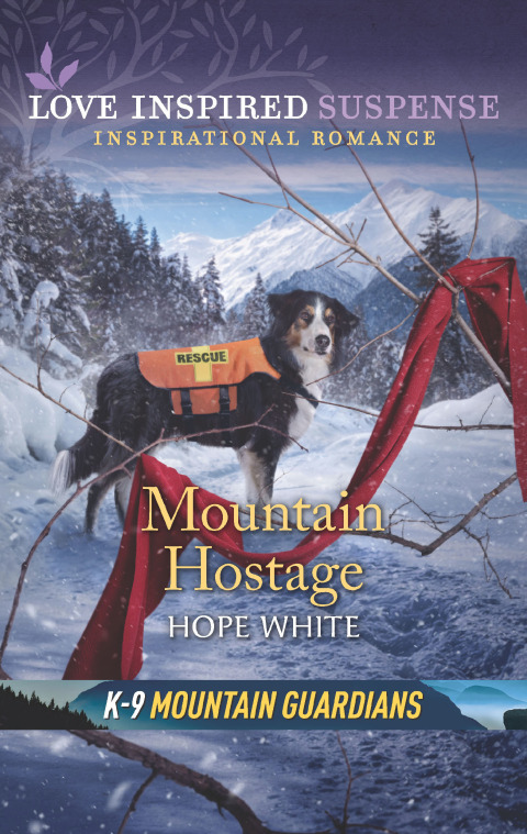 Cover image for book Mountain Hostage