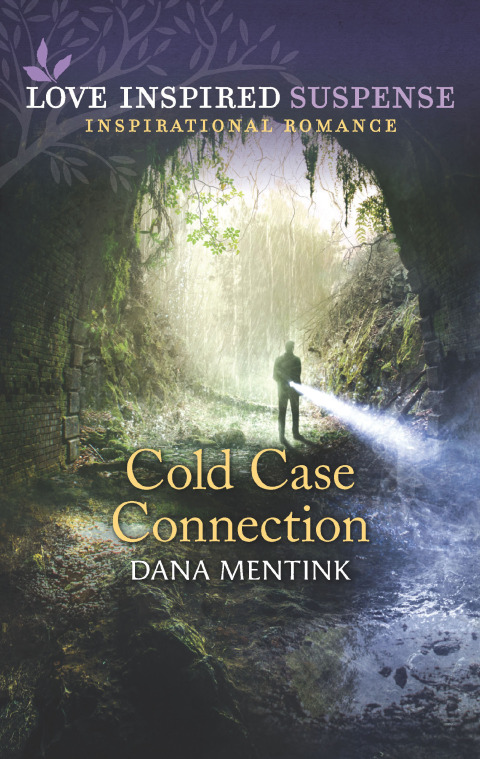 Cover image for book Cold Case Connection
