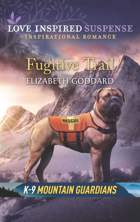 Cover image for book Fugitive Trail
