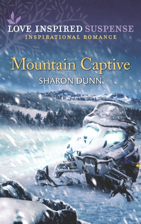 Cover image for book Mountain Captive