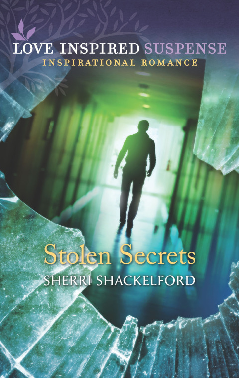 Cover image for book Stolen Secrets