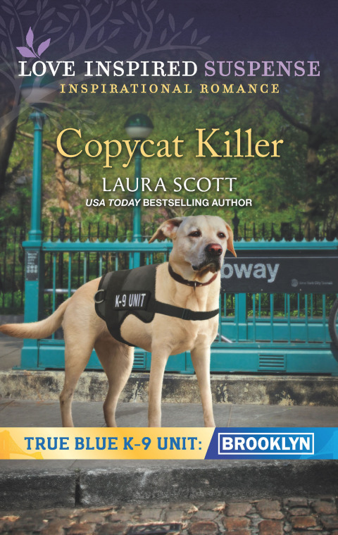 Cover image for book Copycat Killer