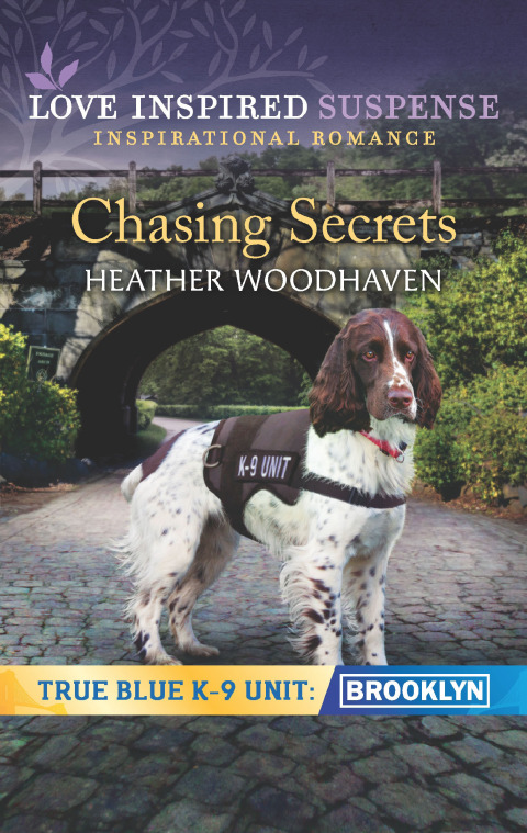 Cover image for book Chasing Secrets