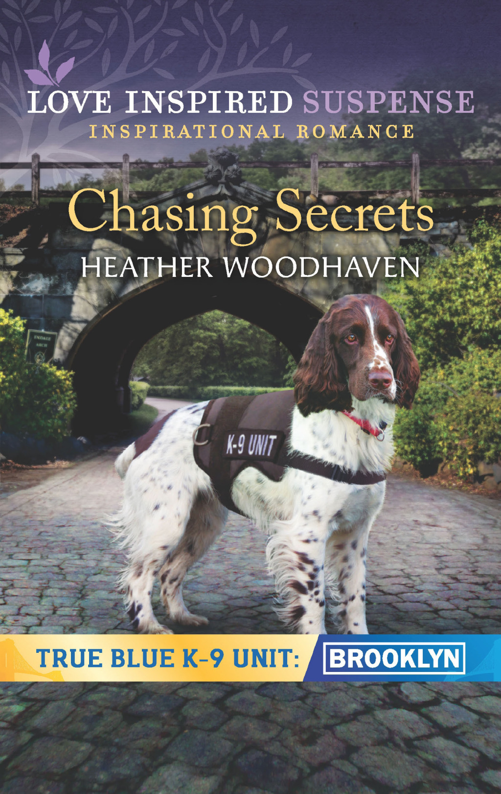Reflowable Chasing Secrets; $5.54