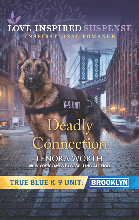 Cover image for book Deadly Connection