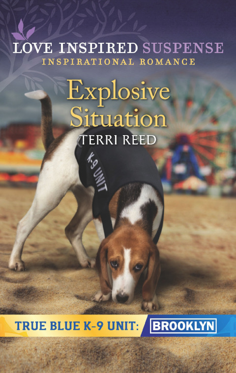 Cover image for book Explosive Situation