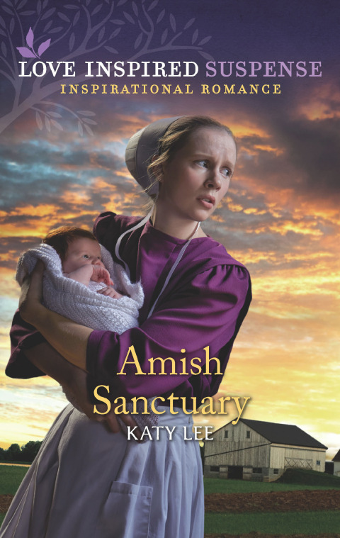 Cover image for book Amish Sanctuary