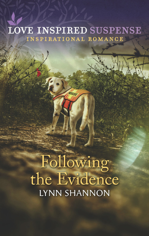 Cover image for book Following the Evidence
