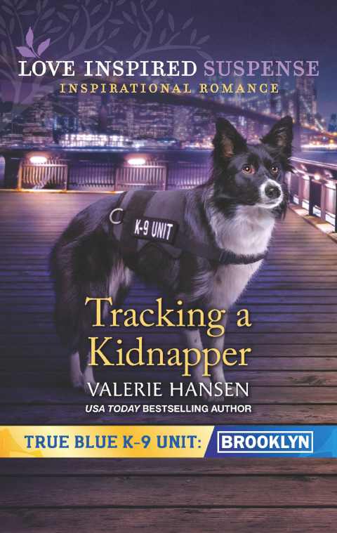 Cover image for book Tracking a Kidnapper