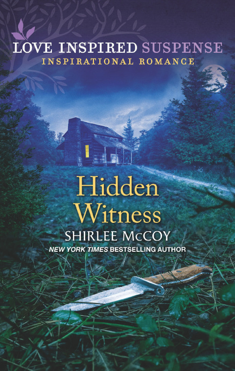 Cover image for book Hidden Witness