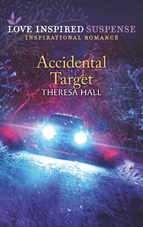 Cover image for book Accidental Target