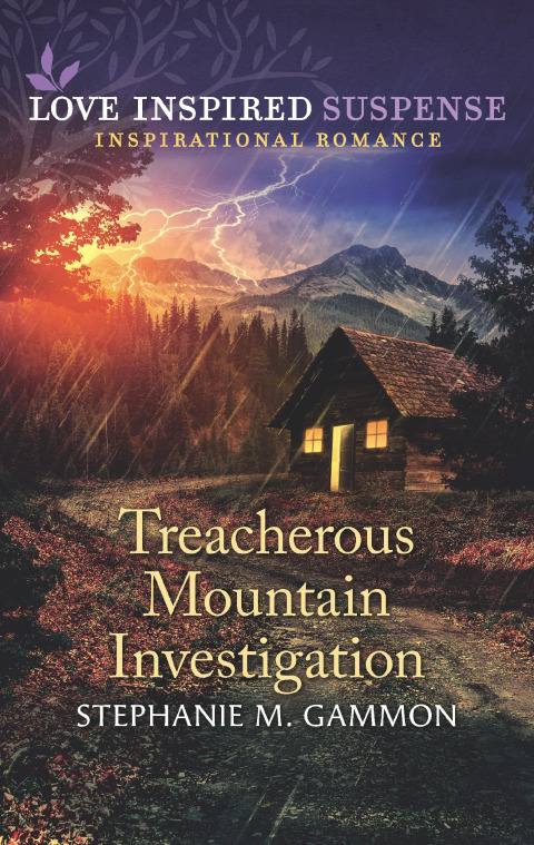 Cover image for book Treacherous Mountain Investigation