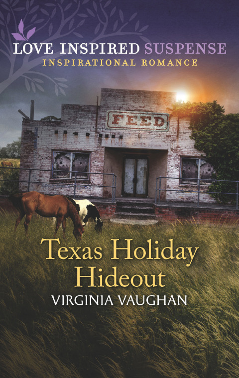Cover image for book Texas Holiday Hideout