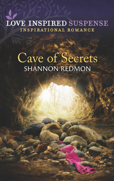 Cover image for book Cave of Secrets