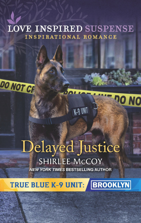 Cover image for book Delayed Justice