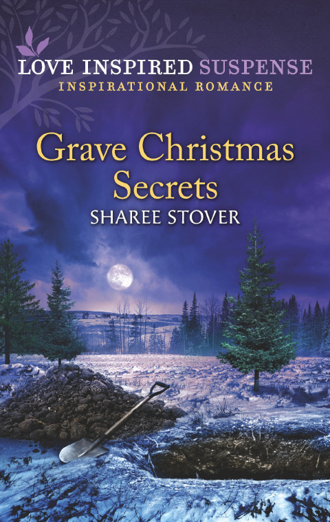 Cover image for book Grave Christmas Secrets