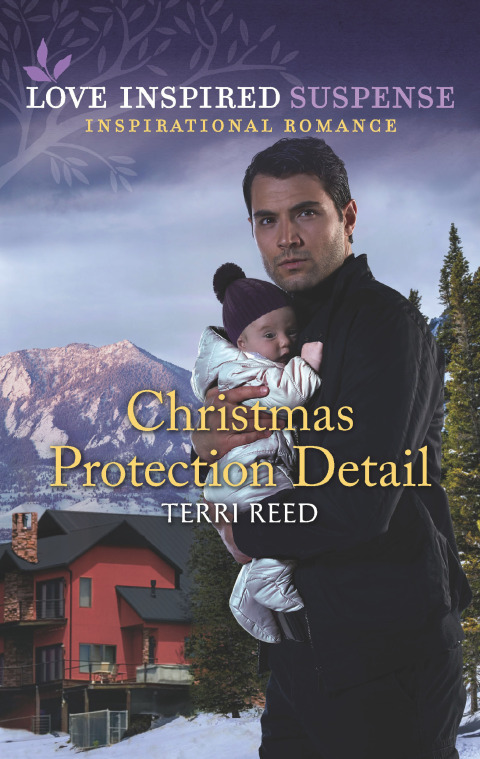 Cover image for book Christmas Protection Detail