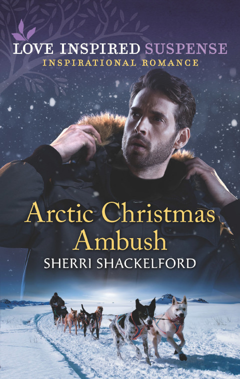 Cover image for book Arctic Christmas Ambush