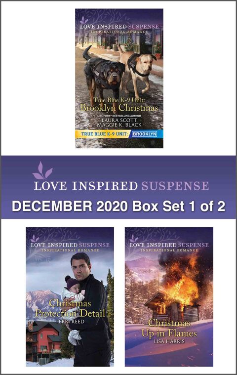 Cover image for book Harlequin Love Inspired Suspense December 2020 - Box Set 1 of 2
