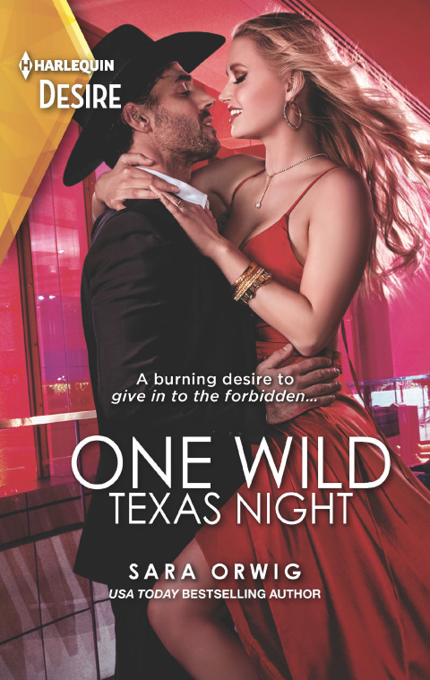 Cover image for book One Wild Texas Night