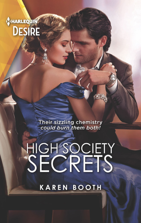 Cover image for book High Society Secrets