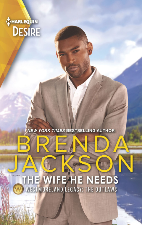 Cover image for book The Wife He Needs