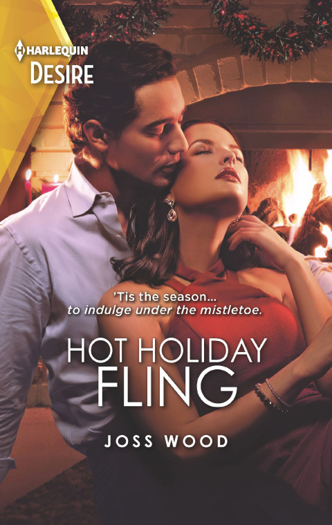 Cover image for book Hot Holiday Fling