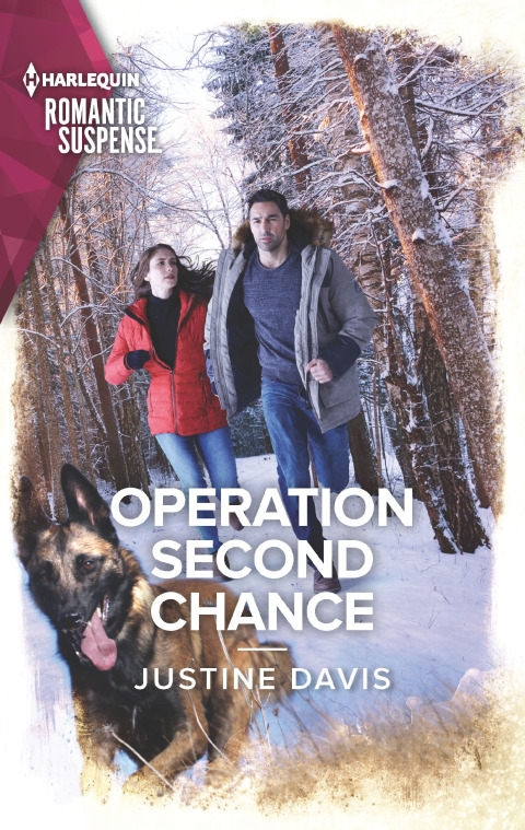 Cover image for book Operation Second Chance