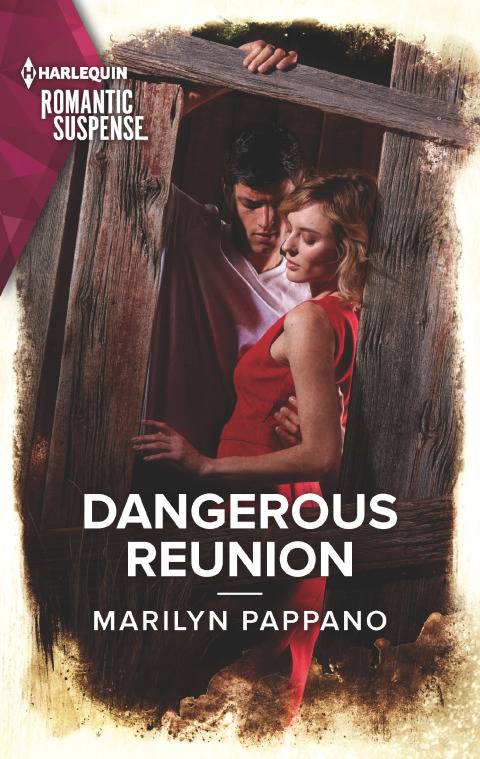 Cover image for book Dangerous Reunion
