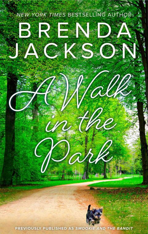 Cover image for book A Walk in the Park