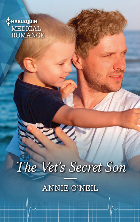 Cover image for book The Vet's Secret Son