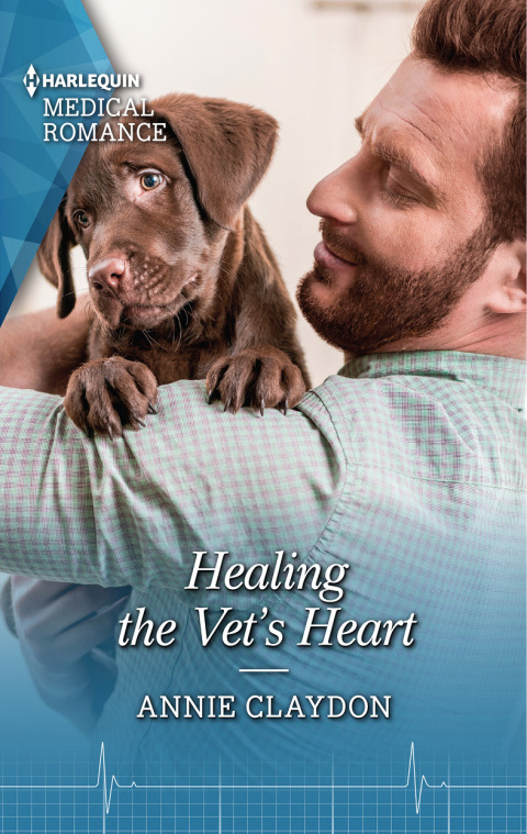 Cover image for book Healing the Vet's Heart