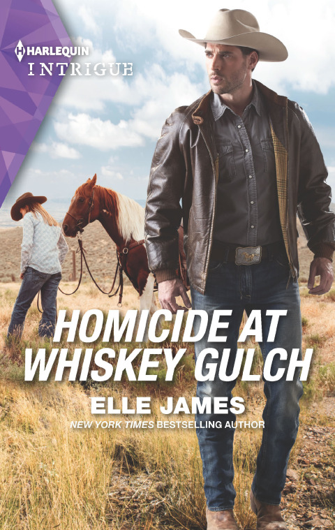Cover image for book Homicide at Whiskey Gulch