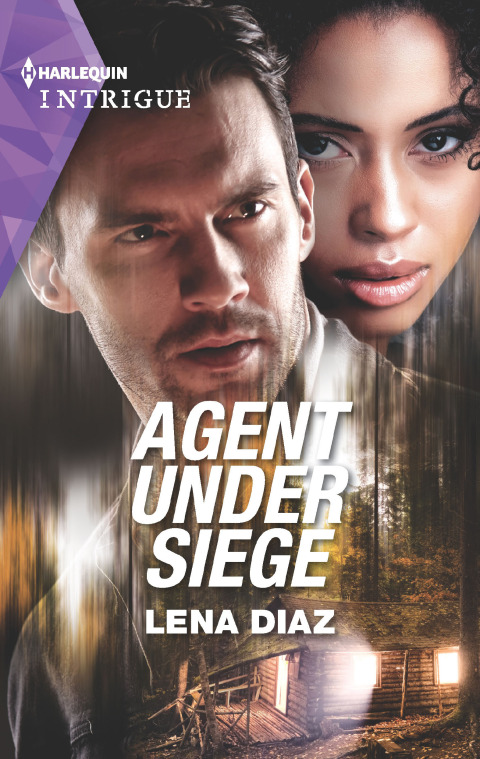 Cover image for book Agent Under Siege